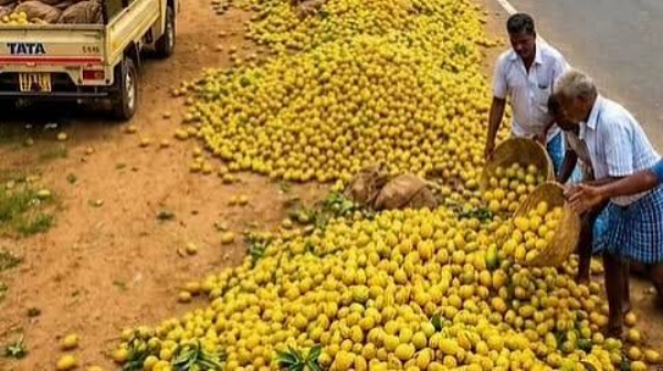 மாம்பழம்
