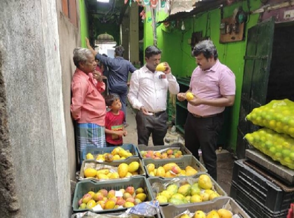 1.5 tonnes of artificially ripened mangoes destroyed 1.5 tonnes of artificially ripened mangoes destroyed