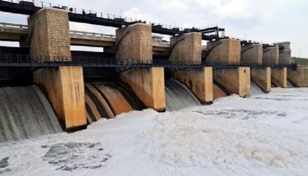 கெலவரப்பள்ளி அணையிலிருந்து திறக்கப்பட்ட நீரில் ரசாயன நுரை - விவசாயிகள் கவலை கெலவரப்பள்ளி அணையிலிருந்து திறக்கப்பட்ட நீரில் ரசாயன நுரை - விவசாயிகள் கவலை