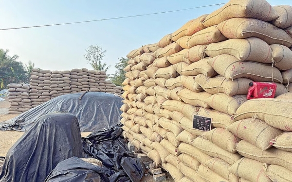 4 lakh bags of paddy pile up at Tiruvarur 4 lakh bags of paddy pile up at Tiruvarur