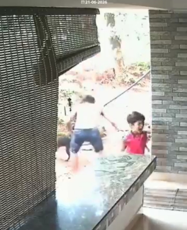 நாய் நாய்