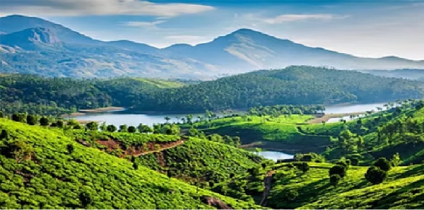 மேற்குத் தொடர்ச்சி மலையில் ஆக்கிரமிப்புகளை அகற்றும் பணிகள்  தீவிரம்