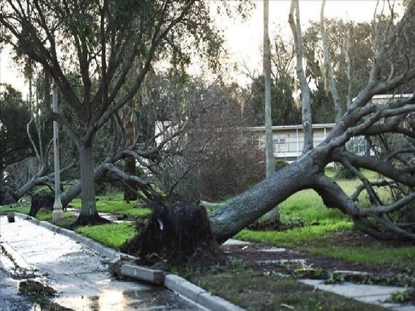 Severe storm batters New Zealand