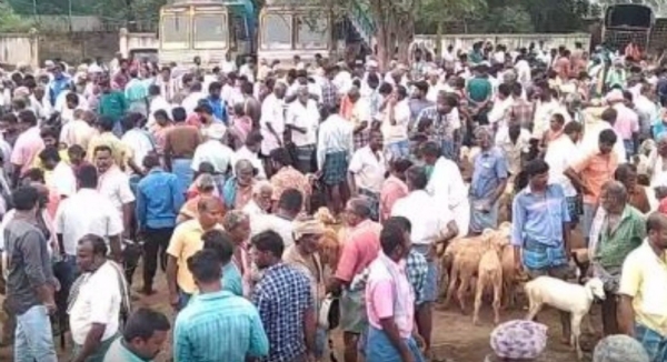 சேலம் கொங்கணாபுரம் வாரச்சந்தையில் ரூ.3 கோடிக்கு ஆடுகள் விற்பனை - வியாபாரிகள் உற்சாகம்