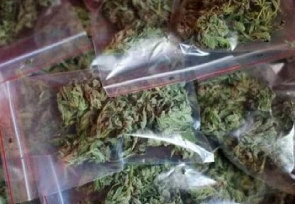 Four arrested for selling ganja in Tenkasi Four arrested for selling ganja in Tenkasi