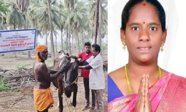 காஞ்சிபுரம் மாவட்டத்தில் கோமாரி நோய் தடுப்பூசி முகாம் - அமைச்சர் கமலி தொடங்கி வைத்தார் காஞ்சிபுரம் மாவட்டத்தில் கோமாரி நோய் தடுப்பூசி முகாம் - அமைச்சர் கமலி தொடங்கி வைத்தார்