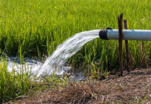 தமிழ்நாட்டில் அபாயகரமான அளவில் சரியும் நிலத்தடி நீர்மட்டம் – திண்டுக்கல்லில் 6.77 மீட்டர் வரை வீழ்ச்சி தமிழ்நாட்டில் அபாயகரமான அளவில் சரியும் நிலத்தடி நீர்மட்டம் – திண்டுக்கல்லில் 6.77 மீட்டர் வரை வீழ்ச்சி