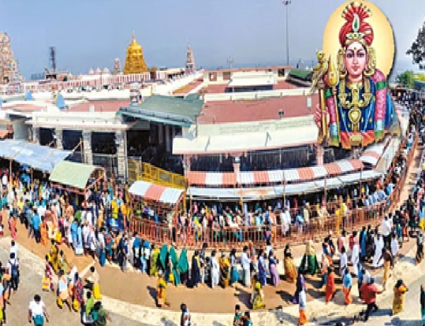 பழனி முருகன் கோயில் விடுதிகளின் கட்டணம் இருமடங்கு உயர்வு – பக்தர்கள் கடும் அதிர்ச்சி பழனி முருகன் கோயில் விடுதிகளின் கட்டணம் இருமடங்கு உயர்வு – பக்தர்கள் கடும் அதிர்ச்சி