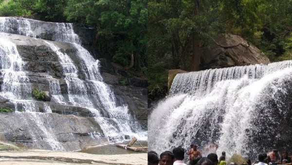 மேகமலை அருவிக்கு சுற்றுலாப் பயணிகள் செல்ல தடை - பராமரிப்பு பணிகளால் வனத்துறை அதிரடி உத்தரவு மேகமலை அருவிக்கு சுற்றுலாப் பயணிகள் செல்ல தடை - பராமரிப்பு பணிகளால் வனத்துறை அதிரடி உத்தரவு