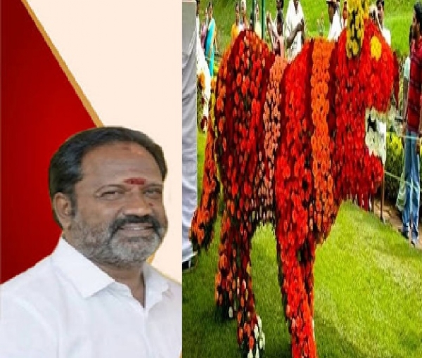 ஏலகிரியில் கோடை விழா கோலாகல தொடக்கம் - வனத்துறை அமைச்சர் ரஞ்சித் குமார் தொடங்கி வைத்தார் ஏலகிரியில் கோடை விழா கோலாகல தொடக்கம் - வனத்துறை அமைச்சர் ரஞ்சித் குமார் தொடங்கி வைத்தார்