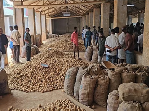 மேட்டுப்பாளைய சந்தையில் குவியும் வட மாநி உருளைக்கிழங்குகள் மேட்டுப்பாளைய சந்தையில் குவியும் வட மாநி உருளைக்கிழங்குகள்