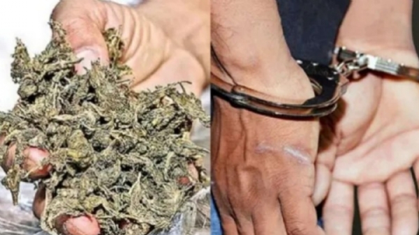 Weed Sale Case Weed Sale Case