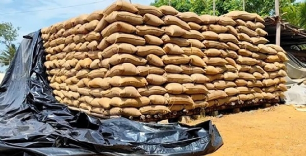 நெல் மூட்டைகளை கிடங்கில் அடுக்க வேண்டும் - வாணிபக் கழக அலுவலகத்தில் ஊழியர்கள் உள்ளிருப்புப் போராட்டம் நெல் மூட்டைகளை கிடங்கில் அடுக்க வேண்டும் - வாணிபக் கழக அலுவலகத்தில் ஊழியர்கள் உள்ளிருப்புப் போராட்டம்