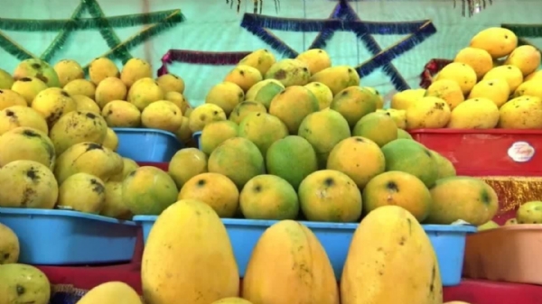 Mangoes