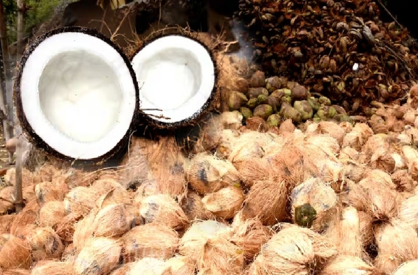 கன்னியாகுமரியில் தேங்காய் விலை கிடுகிடு உயர்வு