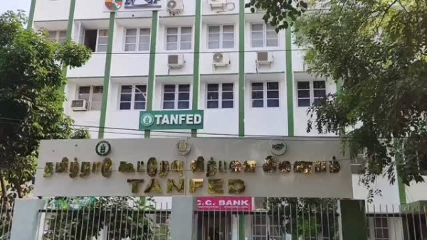 Tanfed
