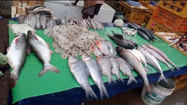 Fish Market