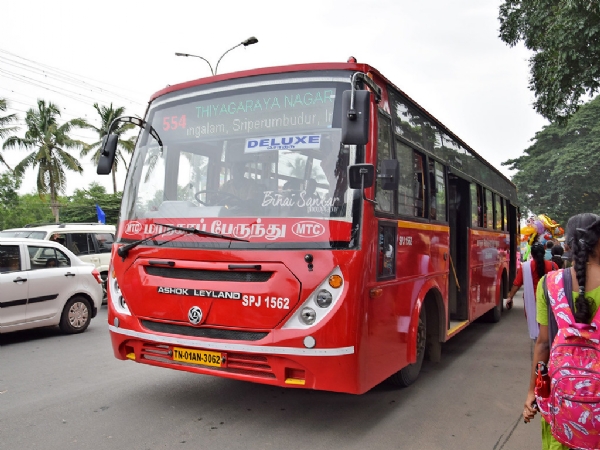 Bus Bus