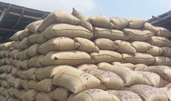 திருவாரூரில் நேரடி கொள்முதல் நிலையங்களில் 7 லட்சம் நெல் மூட்டைகள் தேக்கம் - விவசாயிகள் கவலை திருவாரூரில் நேரடி கொள்முதல் நிலையங்களில் 7 லட்சம் நெல் மூட்டைகள் தேக்கம் - விவசாயிகள் கவலை