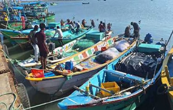 முட்டம் தனியார் துறைமுக படகுகள் உரிம விவகாரம் - மீன்வளத்துறை ஆணையர் பதிலளிக்க நீதிமன்றம்  உத்தரவு