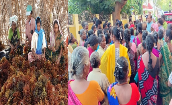 புதுக்கோட்டை அருகே கடல்பாசி பூங்காவுக்கு எதிர்ப்பு - நூற்றுக்கணக்கானோர் முற்றுகைப் போராட்டம் புதுக்கோட்டை அருகே கடல்பாசி பூங்காவுக்கு எதிர்ப்பு - நூற்றுக்கணக்கானோர் முற்றுகைப் போராட்டம்