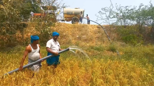 Farmers Farmers