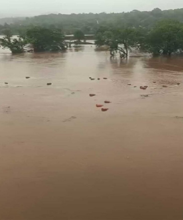 ராய்காட் வெள்ளம் - 3,000 எரிவாயு சிலிண்டர்கள் ஆற்றில் அடித்துச் செல்லப்பட்ட அவலம்