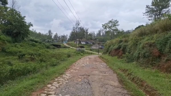 மாஞ்சோலை