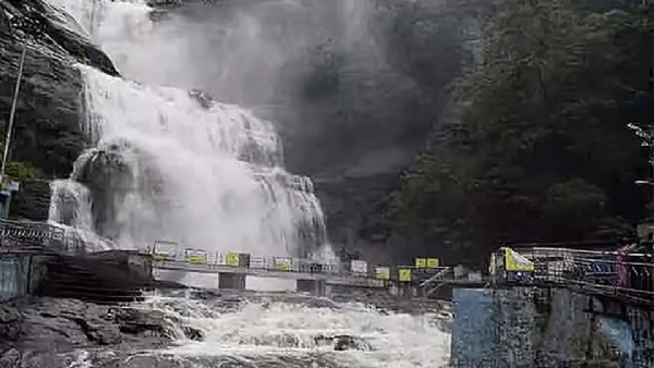 மேற்கு தொடர்ச்சி மலையில் தொடர் கனமழை - குற்றால அருவிகளில் சுற்றுலாப் பயணிகள் குளிக்க தடை மேற்கு தொடர்ச்சி மலையில் தொடர் கனமழை - குற்றால அருவிகளில் சுற்றுலாப் பயணிகள் குளிக்க தடை