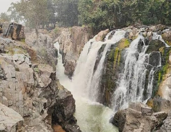 Cauvery water inflow at Hogenakkal rises to 8,000 cusecs Cauvery water inflow at Hogenakkal rises to 8,000 cusecs