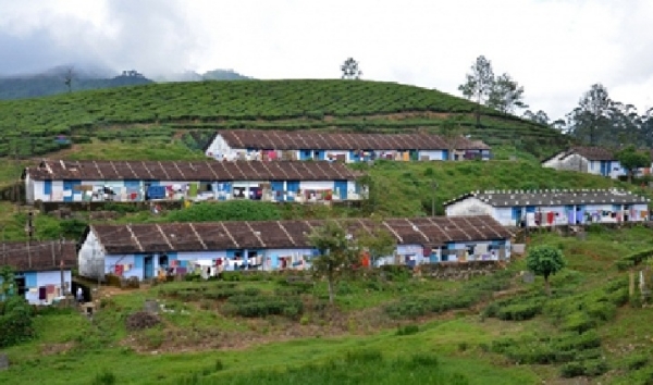 Forest Department issues repeated Forest Department issues repeated