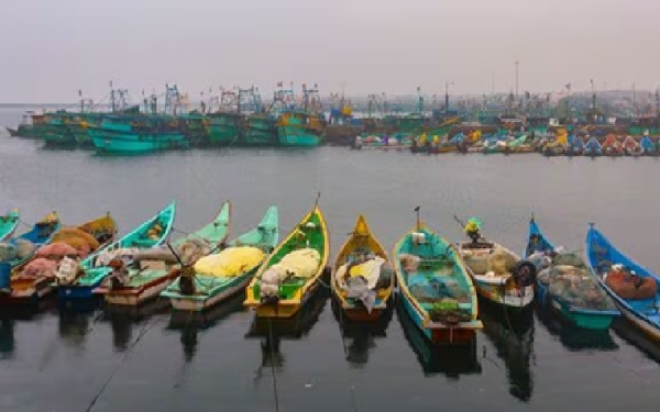 புதுக்கோட்டை மீனவர்கள் கடலுக்கு செல்ல தடை - வானிலை எச்சரிக்கையால் மீன்வளத்துறை அதிரடி உத்தரவு புதுக்கோட்டை மீனவர்கள் கடலுக்கு செல்ல தடை - வானிலை எச்சரிக்கையால் மீன்வளத்துறை அதிரடி உத்தரவு
