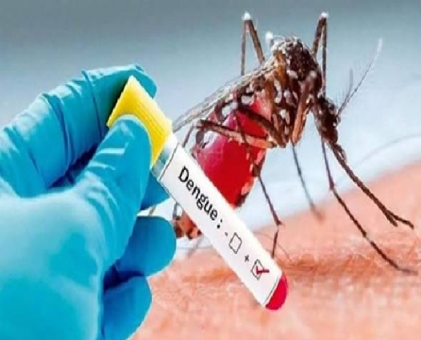 Three people affected by Dengue in Erode