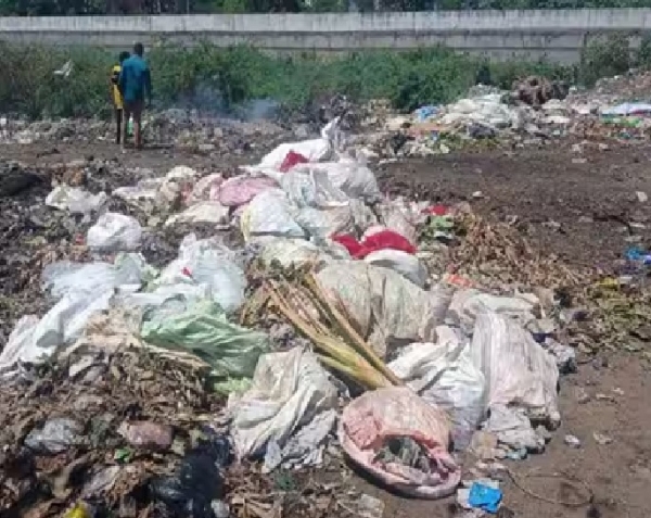மூல வைகை ஆற்றங்கரையில் மருத்துவக் கழிவுகள் குவிப்பு - வனவிலங்குகள் மற்றும் கால்நடைகளுக்கு அச்சுறுத்தல் என பொதுமக்கள் புகார் மூல வைகை ஆற்றங்கரையில் மருத்துவக் கழிவுகள் குவிப்பு - வனவிலங்குகள் மற்றும் கால்நடைகளுக்கு அச்சுறுத்தல் என பொதுமக்கள் புகார்
