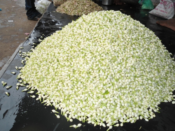 மல்லிகை மல்லிகை