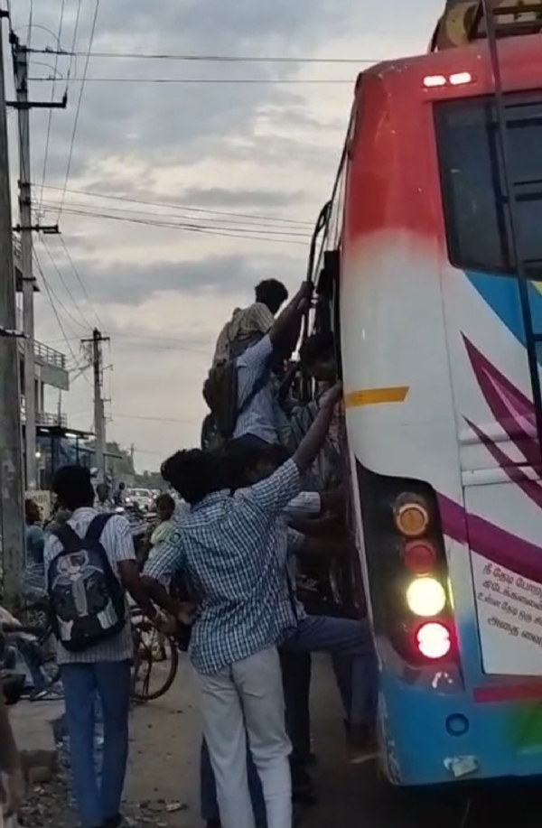 Bus Bus