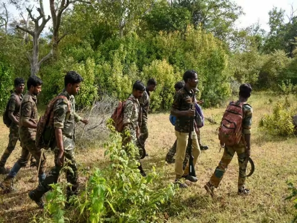 Intense hunt for man-eating tiger in the Nilgiris
