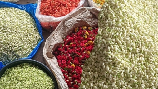 Flower prices at the Thovalai flower market