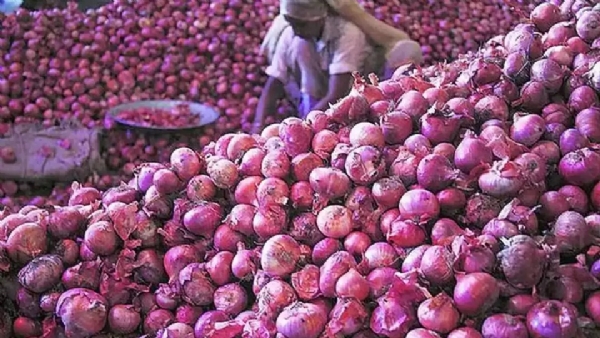 Price of small onions rises to ₹100 per kg in Madurai. Price of small onions rises to ₹100 per kg in Madurai.