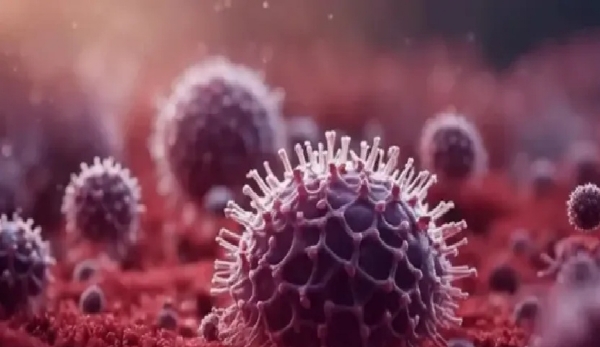 Swine flu on the rise in Tamil Nadu Swine flu on the rise in Tamil Nadu