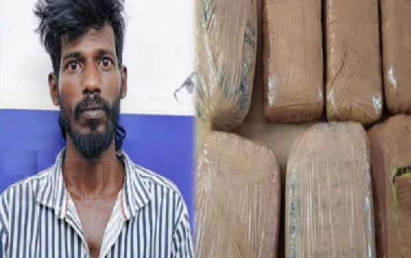 உளுந்தூர்பேட்டை அருகே ரூ.7 லட்சம் மதிப்பிலான 13 கிலோ கஞ்சா பறிமுதல் - இளைஞர் கைது