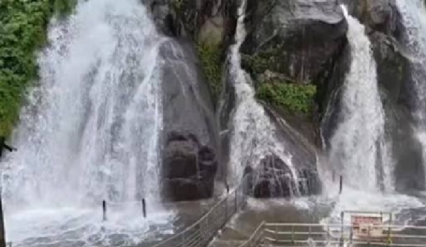 வெள்ளக்காடாக மாறிய அருவிகள் - குற்றாலத்தில் 2-ம் நாளாக குளிக்க தடை நீட்டிப்பு வெள்ளக்காடாக மாறிய அருவிகள் - குற்றாலத்தில் 2-ம் நாளாக குளிக்க தடை நீட்டிப்பு