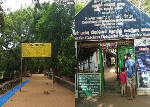 Visitor fee hiked at North Nemmeli Snake Park. Visitor fee hiked at North Nemmeli Snake Park.
