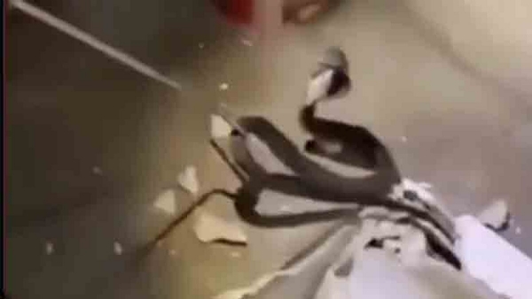 A A