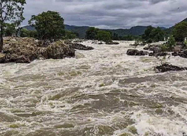 காவிரி நீர் தமிழக எல்லையை வந்தடைந்தது - டெல்டா பாசனத்திற்கு நம்பிக்கை காவிரி நீர் தமிழக எல்லையை வந்தடைந்தது - டெல்டா பாசனத்திற்கு நம்பிக்கை