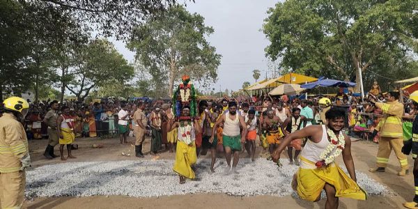 வந்தவாசி அருகே ஸ்ரீ பச்சையம்மன் கோவிலில் தீமிதி திருவிழா - 10 ஆயிரத்துக்கும் மேற்பட்ட பக்தர்கள் பங்கேற்பு