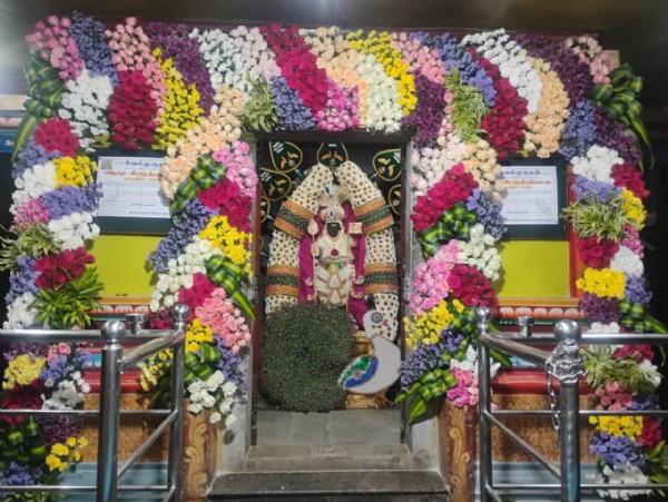 Velmurugan Velmurugan