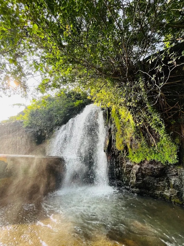 Agasthiyar Falls Agasthiyar Falls