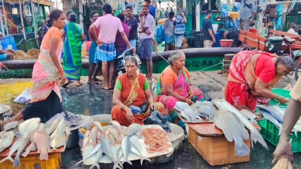 விநாயகர் சதுர்த்தியால் வெறிச்சோடிய காசிமேடு மீன் சந்தை - மீனவர்கள் கவலை விநாயகர் சதுர்த்தியால் வெறிச்சோடிய காசிமேடு மீன் சந்தை - மீனவர்கள் கவலை