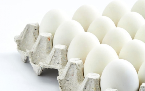 Rise in prices of eggs and broiler chicken Rise in prices of eggs and broiler chicken